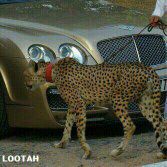 ﻣﺎﺫﺍ ﻟﻮ ﺟﺎﺀﺕ ﺭﺳﺎﻟﺔ ﺍﻵﻥ _ ﻣِﻦ ﺫﻟﻚ ﺍﻟﻐﺎﺋﺐ _ ﻟﻴﻘﻮﻝ ﻓﻴﻬﺎ : ﺍشتقتُ لك !!