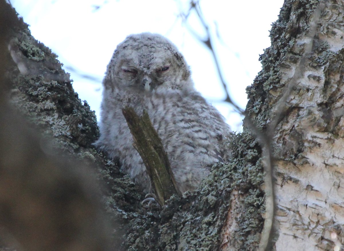 Mikä sen ihanampaa #aurinkopaistaa #linnutlaulaa #canonkevät