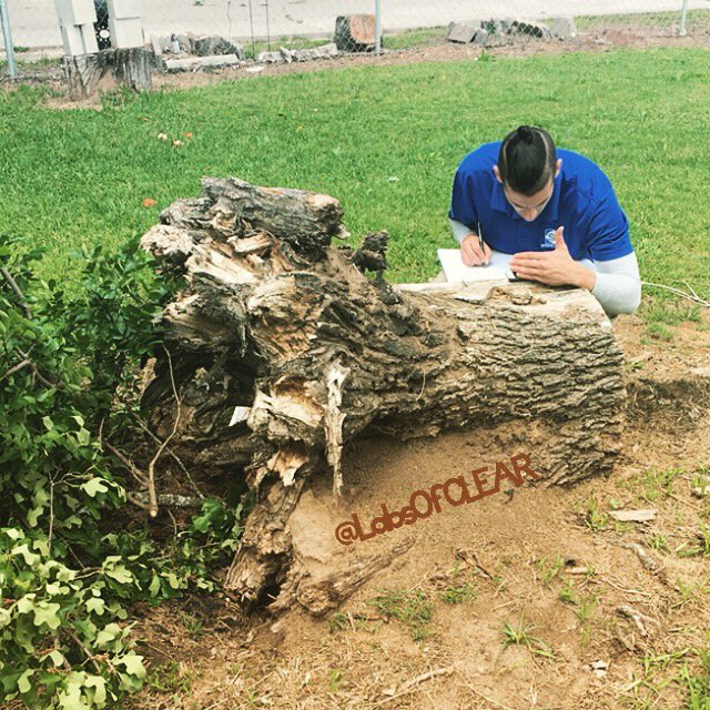 LabsOfCLEAR's tweet photo. #soil sampling near an #unexplained uprooted #tree. @informenv #utaclear #inthefield #investigation https://t.co/TtblW29DTj