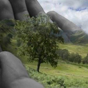 Rob_Simone's tweet photo. IntelliTrees are the Next Big Thing "Restoring our Natural Environments" https://t.co/v3e8fEMAbt #intellitrees https://t.co/PJUWiyLJ8l