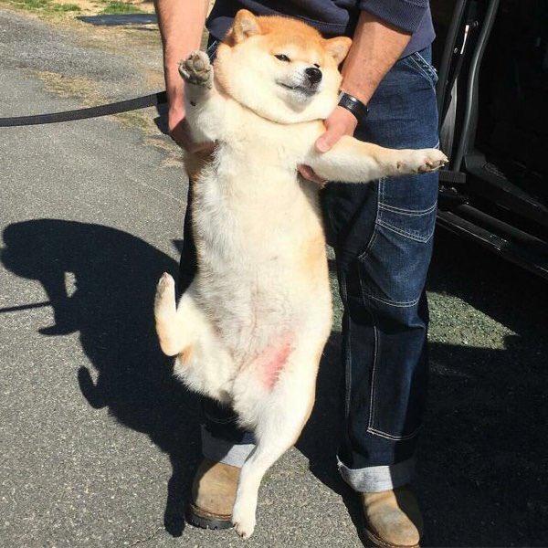 thefemaleboook's tweet photo. when someone forces you to go out and you actually have fun https://t.co/9RVOchZnzZ