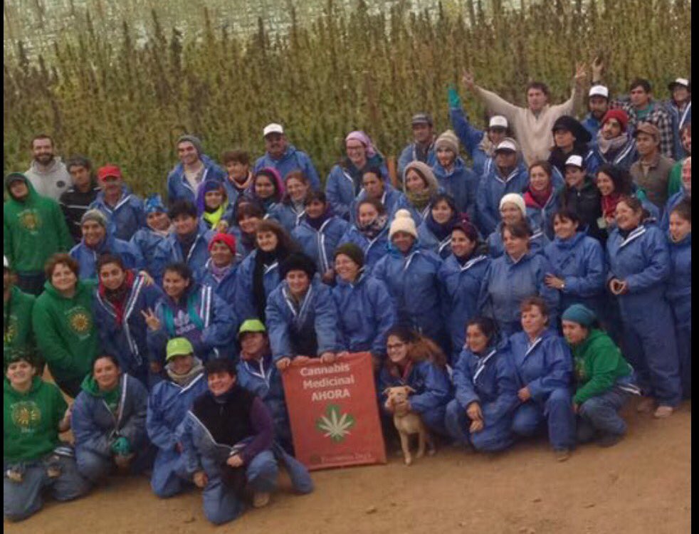 FundacionDaya's tweet photo. Gracias infinitas al maravilloso equipo en terreno de Fundación Daya!Cultivando con amor,cultivando salud y libertad https://t.co/RQRdXEqk6u