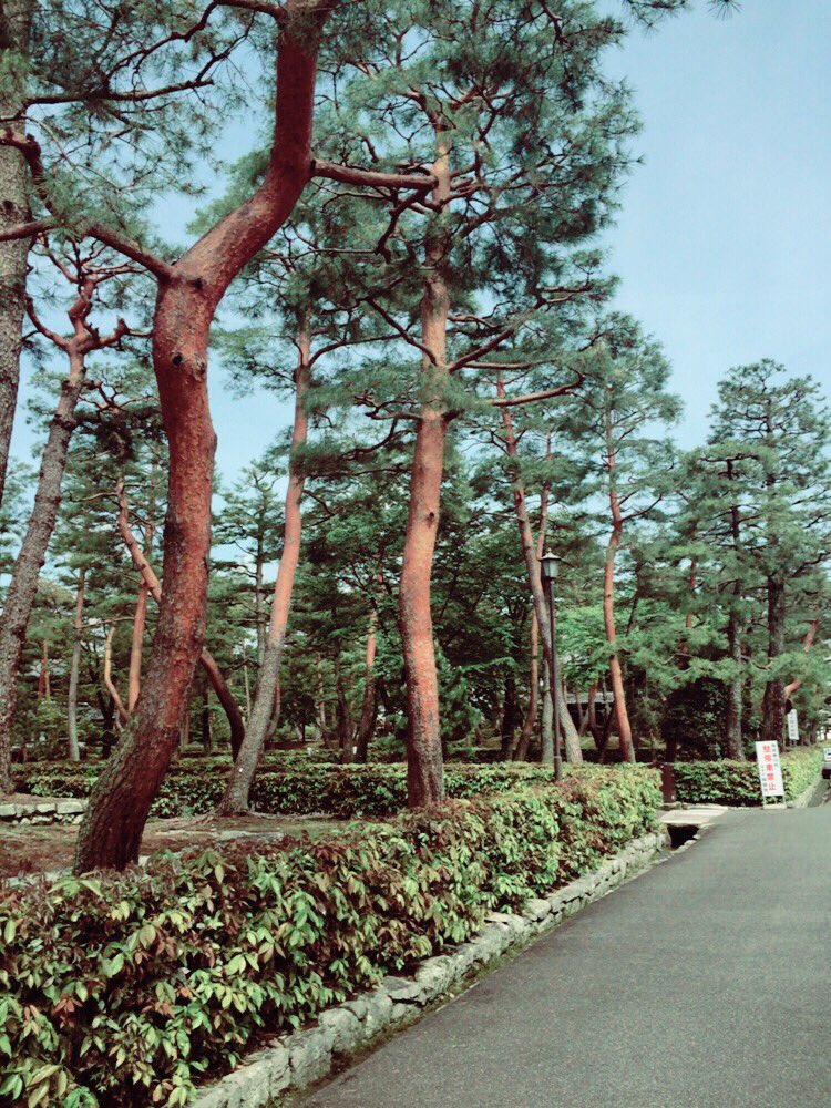 NatsukiUtapuri6's tweet photo. 京都っぽい！ https://t.co/IHdwZFhmdz