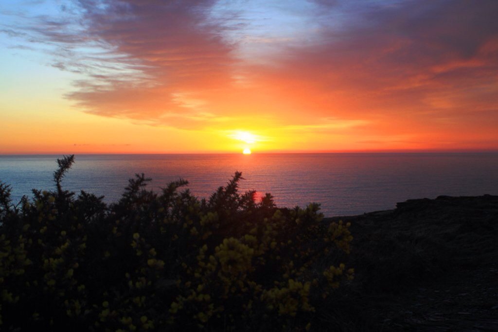 CornishSunsets tweet picture