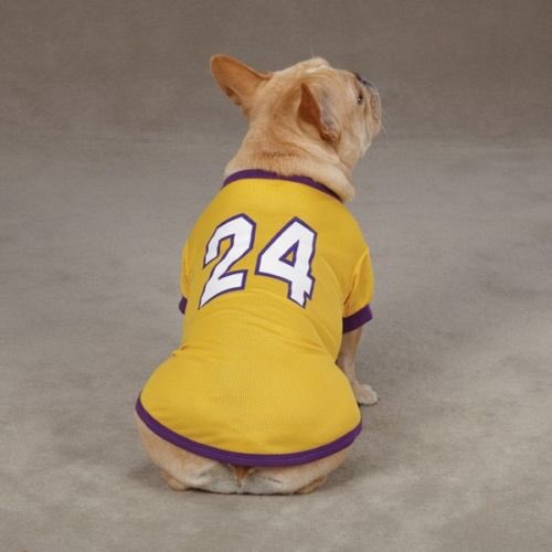 Kobe Bryant Dog Jersey 
