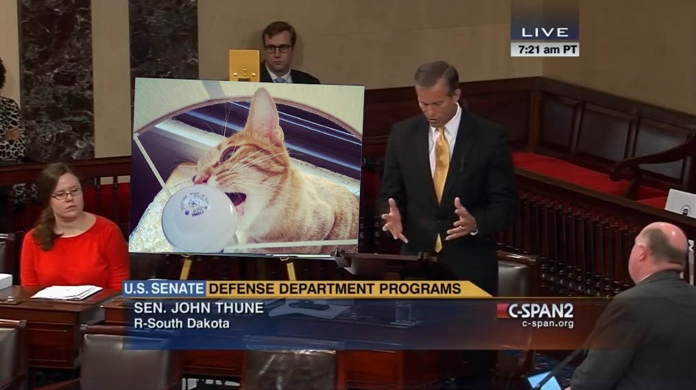 CatFloorChart's tweet photo. Really you guys, how many cats does it take to change a light bulb? @SenJohnThune @Senate_GOPs #CatChart https://t.co/qKDwR1AXSM
