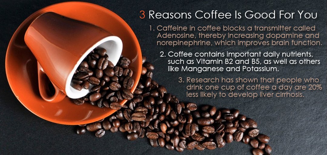 LeanerCreamer's tweet photo. Here are three good reasons why you should drink coffee every day!
#coffee #healthyliving #threegoodreasons https://t.co/krQVC2V8sO