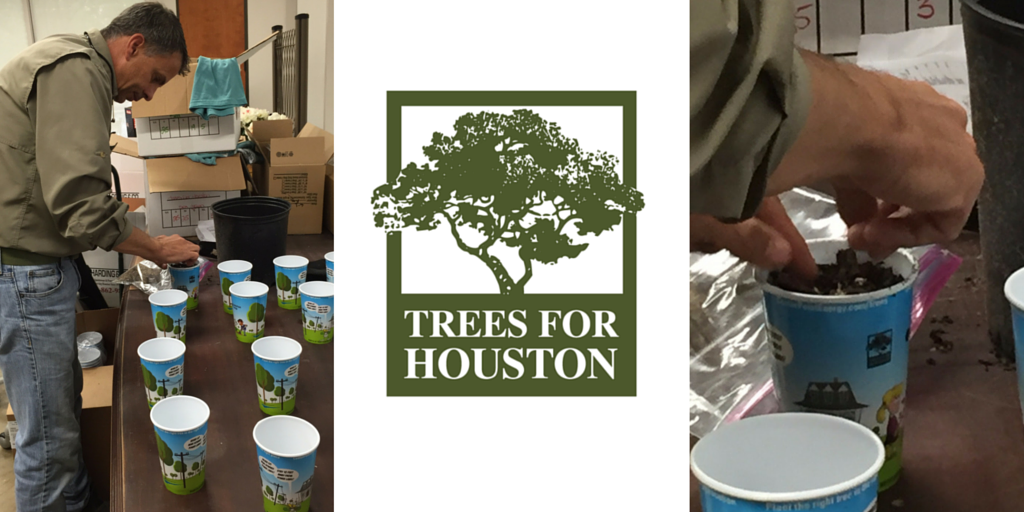 TreesForHouston's tweet photo. Planting native #IndianGrass seed collected at local site &amp; working towards more holistic planting model! https://t.co/ox4bF0cj2K