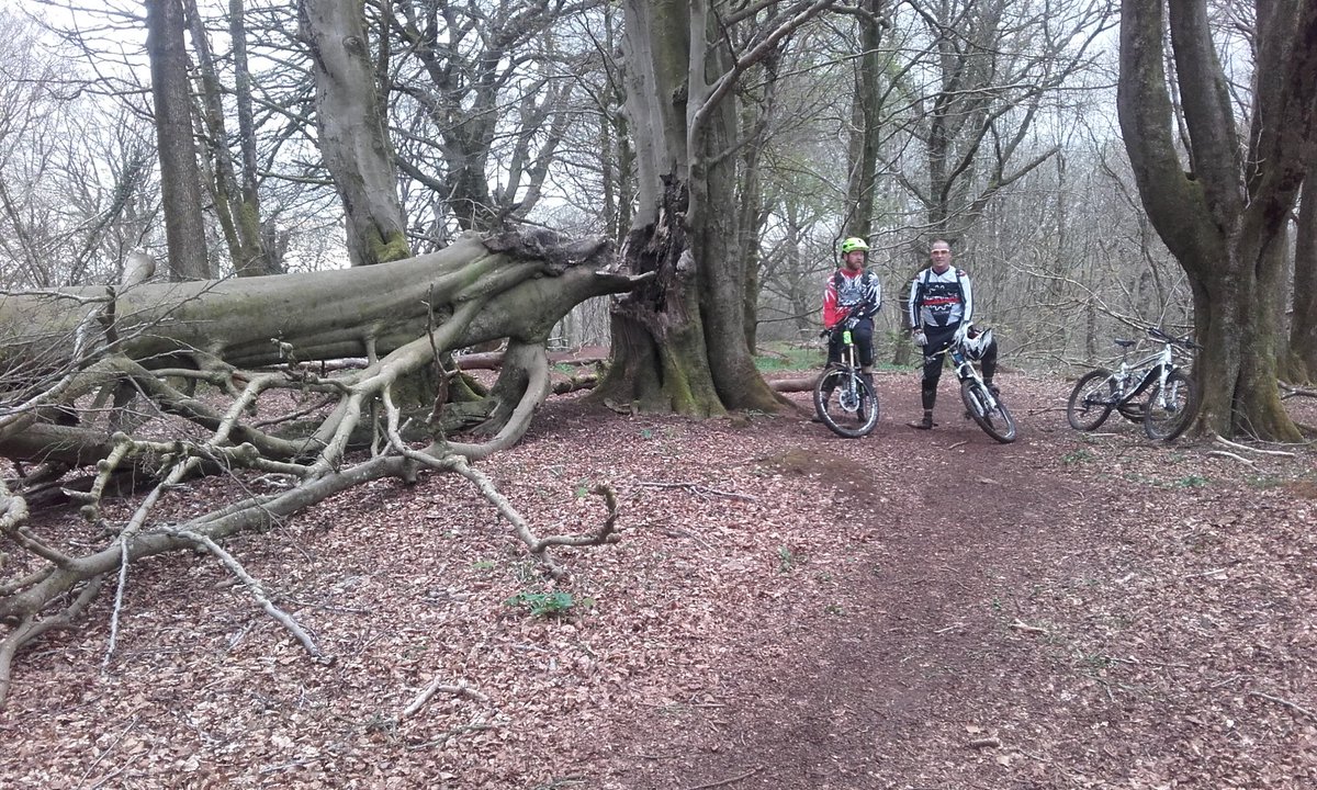 pipt5's tweet photo. Great ride with jordan and karl. https://t.co/0Scs6v76lZ