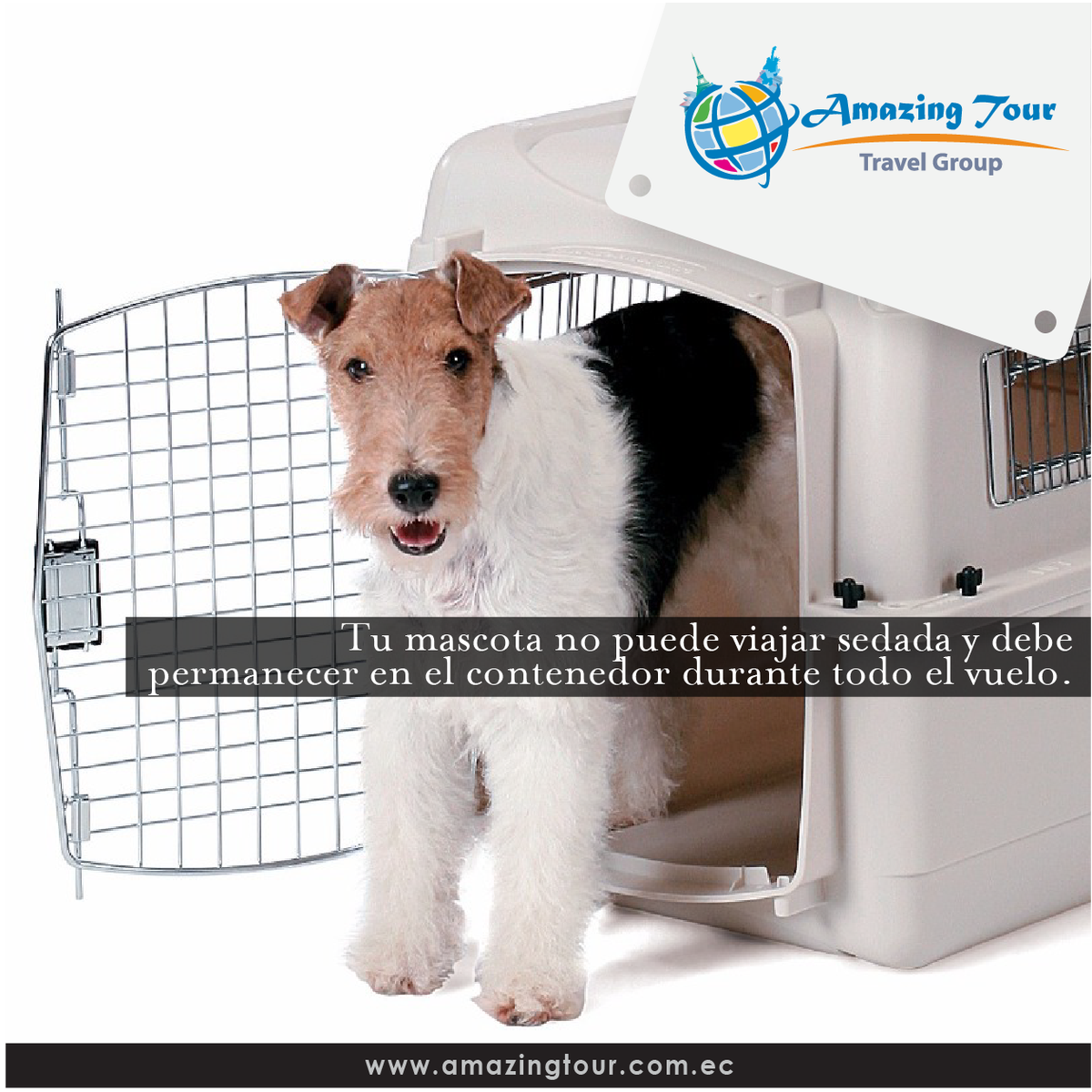 AmazingTourEcu's tweet photo. Si viajas con mascotas ten en cuenta este #AmazingTip. https://t.co/pfDTwDdEk6