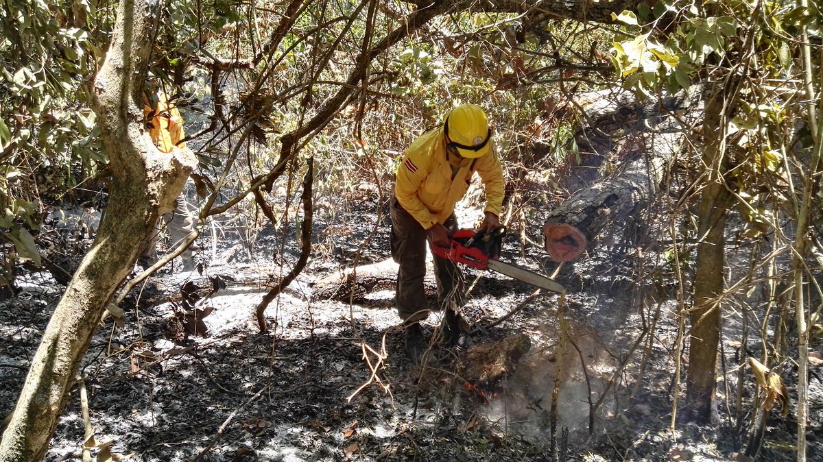 BomberosACG's tweet photo. Seguimos revisando y liquidando los incendios forestales de estos dias en el @ACGuanacaste  🔥💪🇨🇷 https://t.co/IWzXtjA9xj