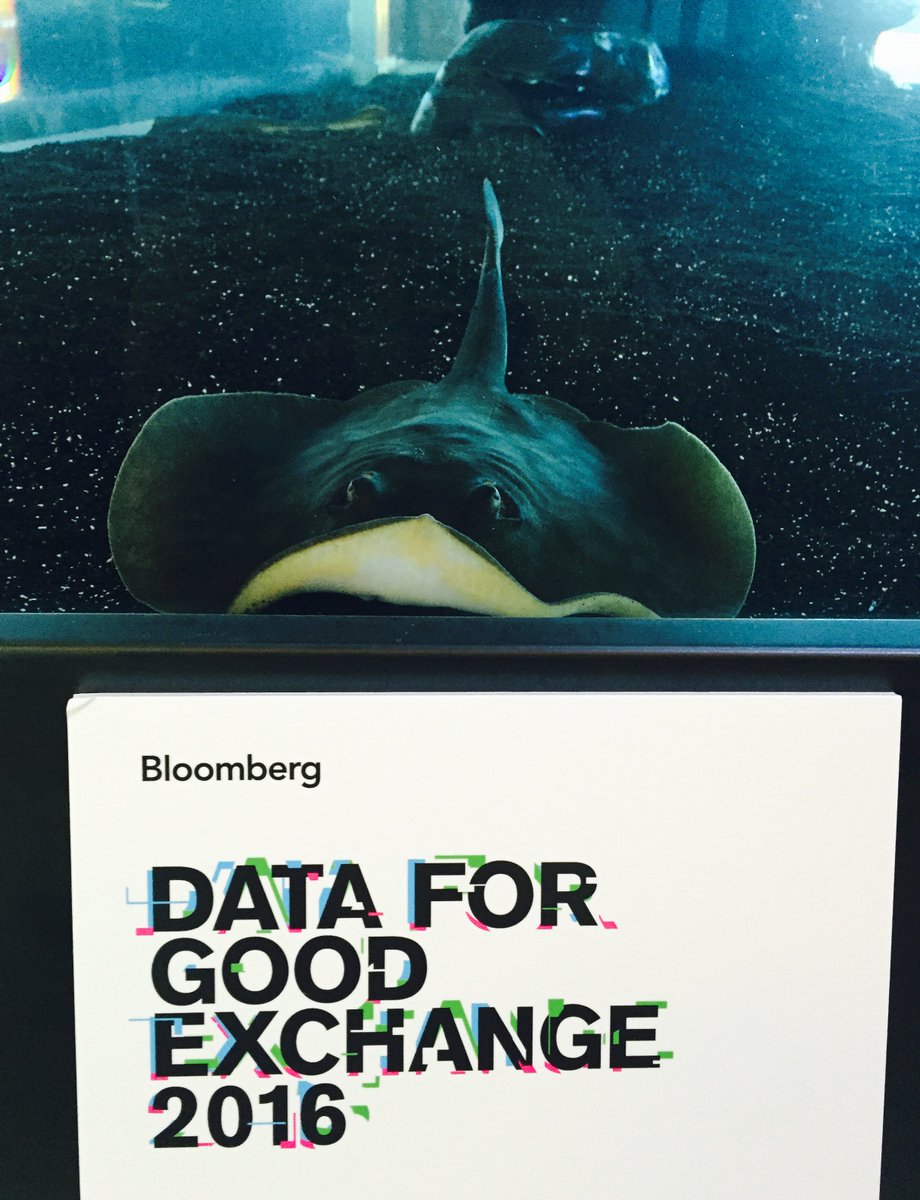 140stingrays's tweet photo. Proud to be a part of #d4gx at #Bloombergtech https://t.co/lmKTfQqTiE