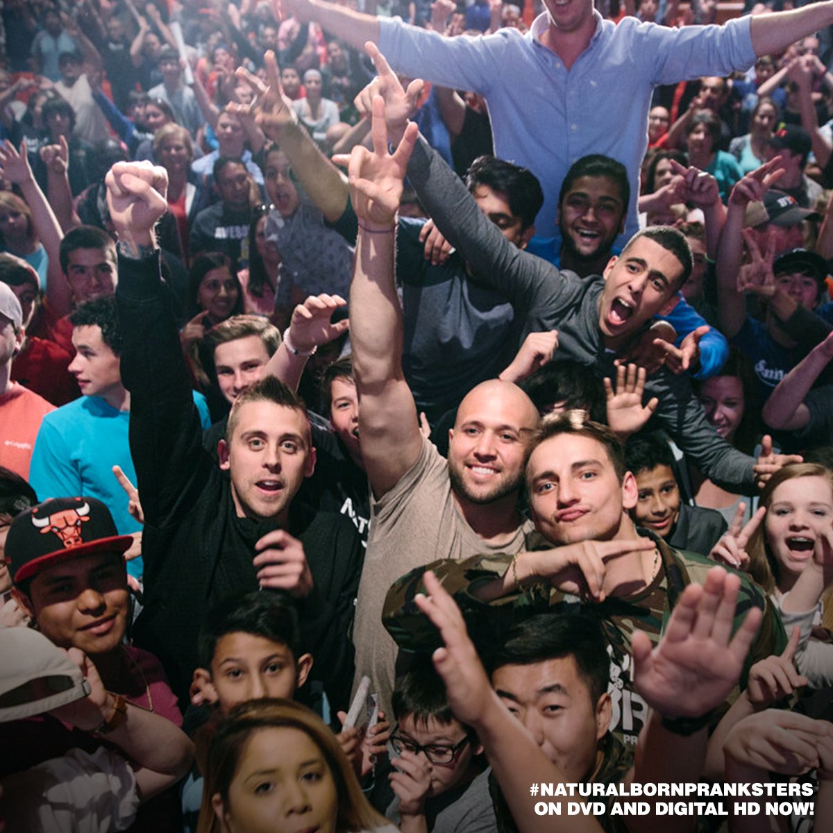 Prank the world.  #NaturalBornPranksters. On DVD &amp; on iTunes. Thanks to @zachwolfe for this epic photo.