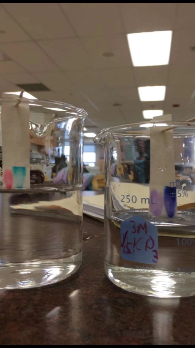 SLMS_SciOly's tweet photo. Our state competition is so close, only 10 days away! Check out some chromatograms that the crime busters team made! https://t.co/O1hU1Ba42B