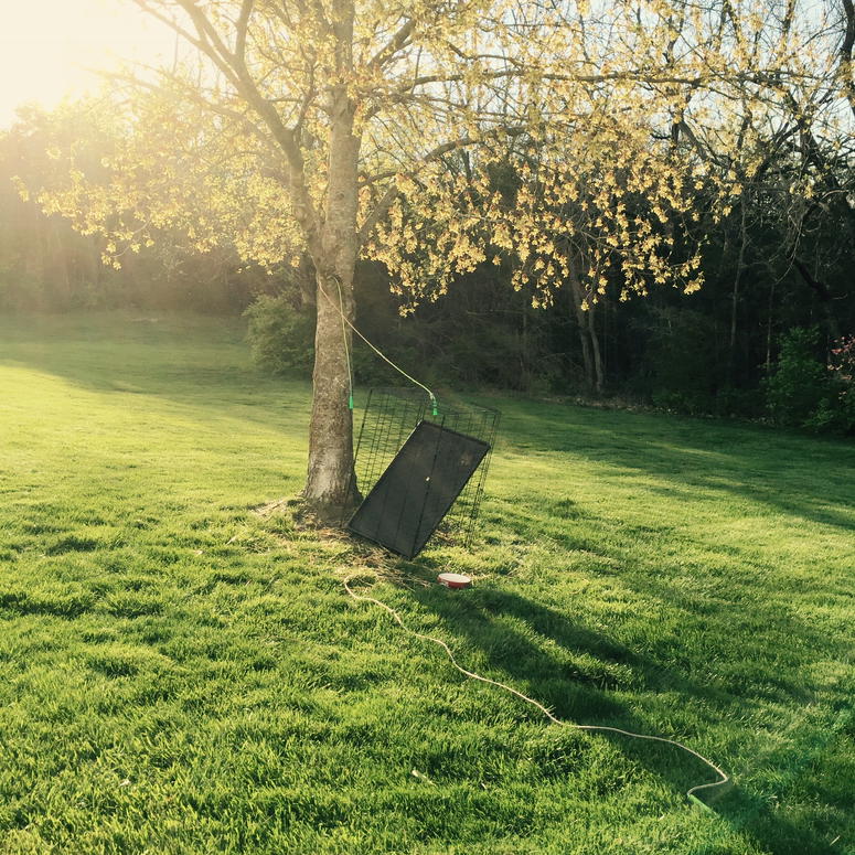 JettJargon's tweet photo. #squirreltrap https://t.co/G3gwiQZCDY
