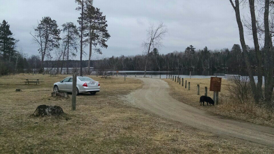 Michael Mannchen tweet media