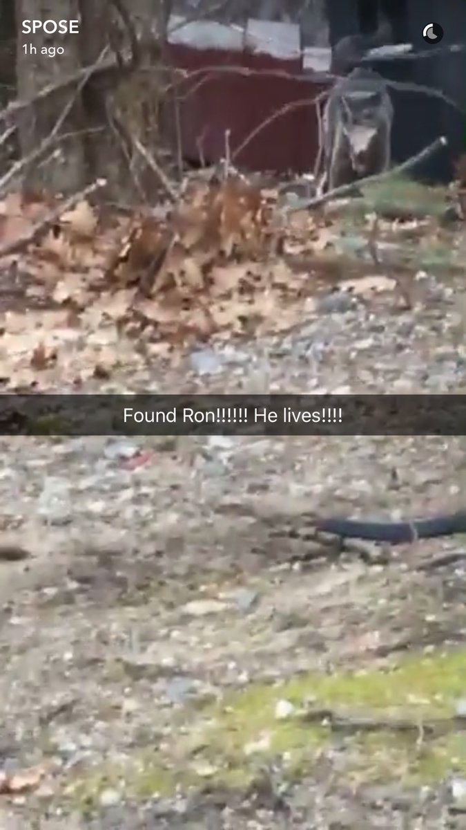 ClarkDekoda's tweet photo. @spizzyspose He's found!!!!! Lol for know #FoundRon #RonsADick https://t.co/TwO6fIedEM