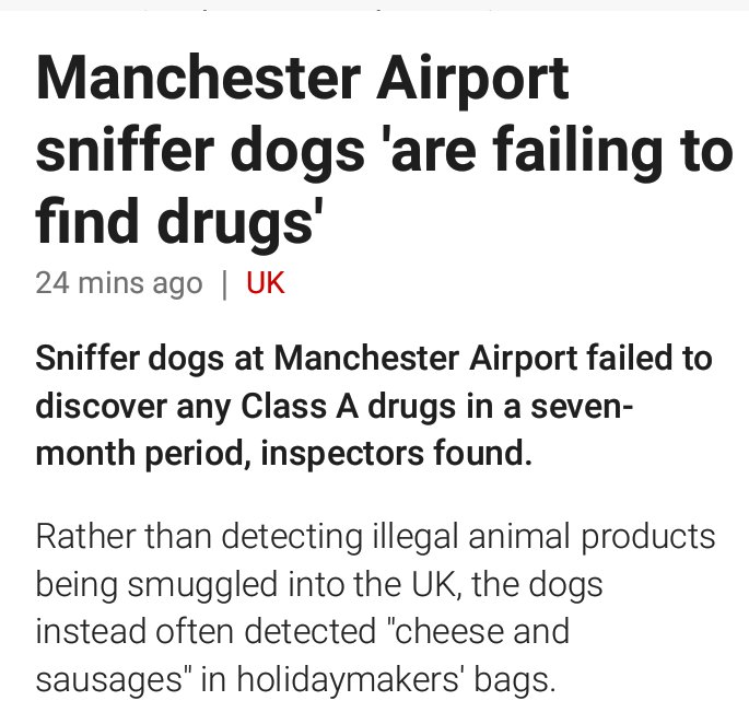 SamCsaunders's tweet image. Probably my favourite paragraph of the year #cheeseandsausages