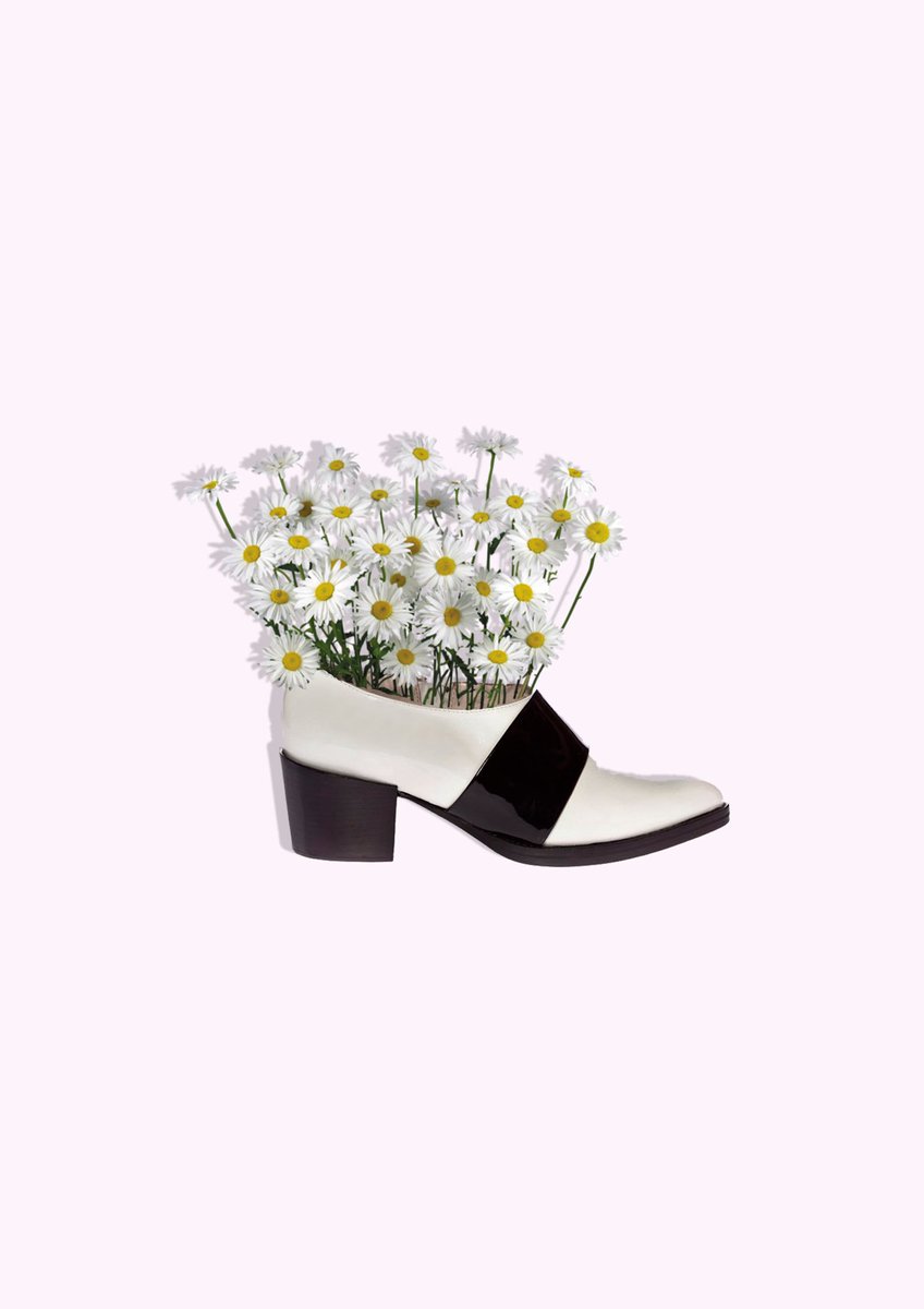 me_mataBA's tweet photo. 🍦
Zapato Tetuán by @__NAIMA 

Still life Lookbook 20-16

#MeMataBA https://t.co/1qTqudxwGZ