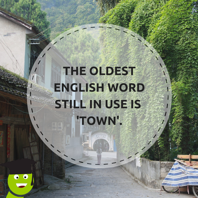 EditingWorm's tweet photo. Did you know that 'town' is the oldest English word still is use? https://t.co/WxZeSgh0k8