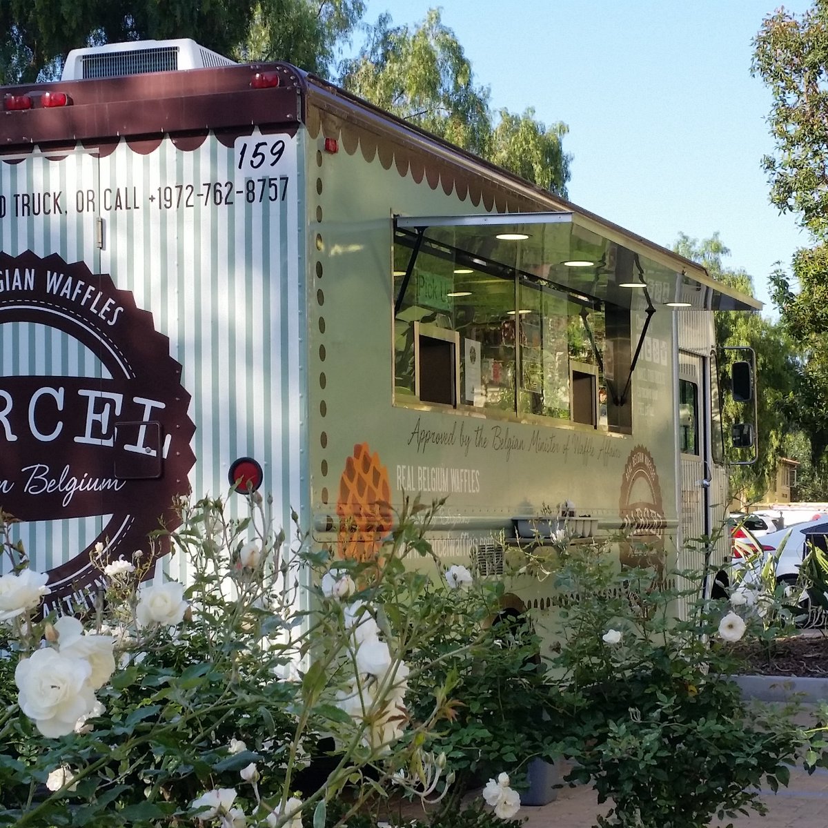 Marcel Waffles OC (@marcelwafflesoc) on Twitter photo 