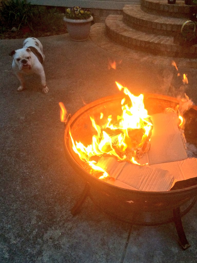 It's questionable if Kawi likes this fire or not 😂