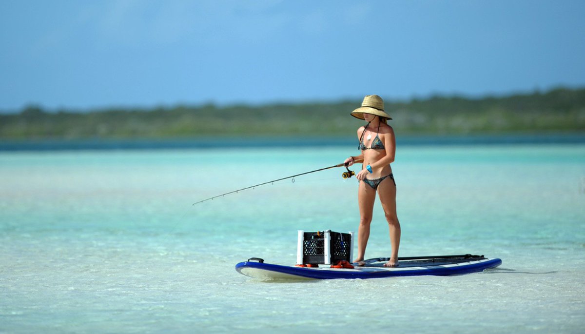 SaltStrong's tweet photo. 3 Reasons All Kayak Anglers Should Consider Paddle Board Fishing. https://t.co/4H8omnxrny #SUP #paddleboard #fish https://t.co/0J4xLjKUhc