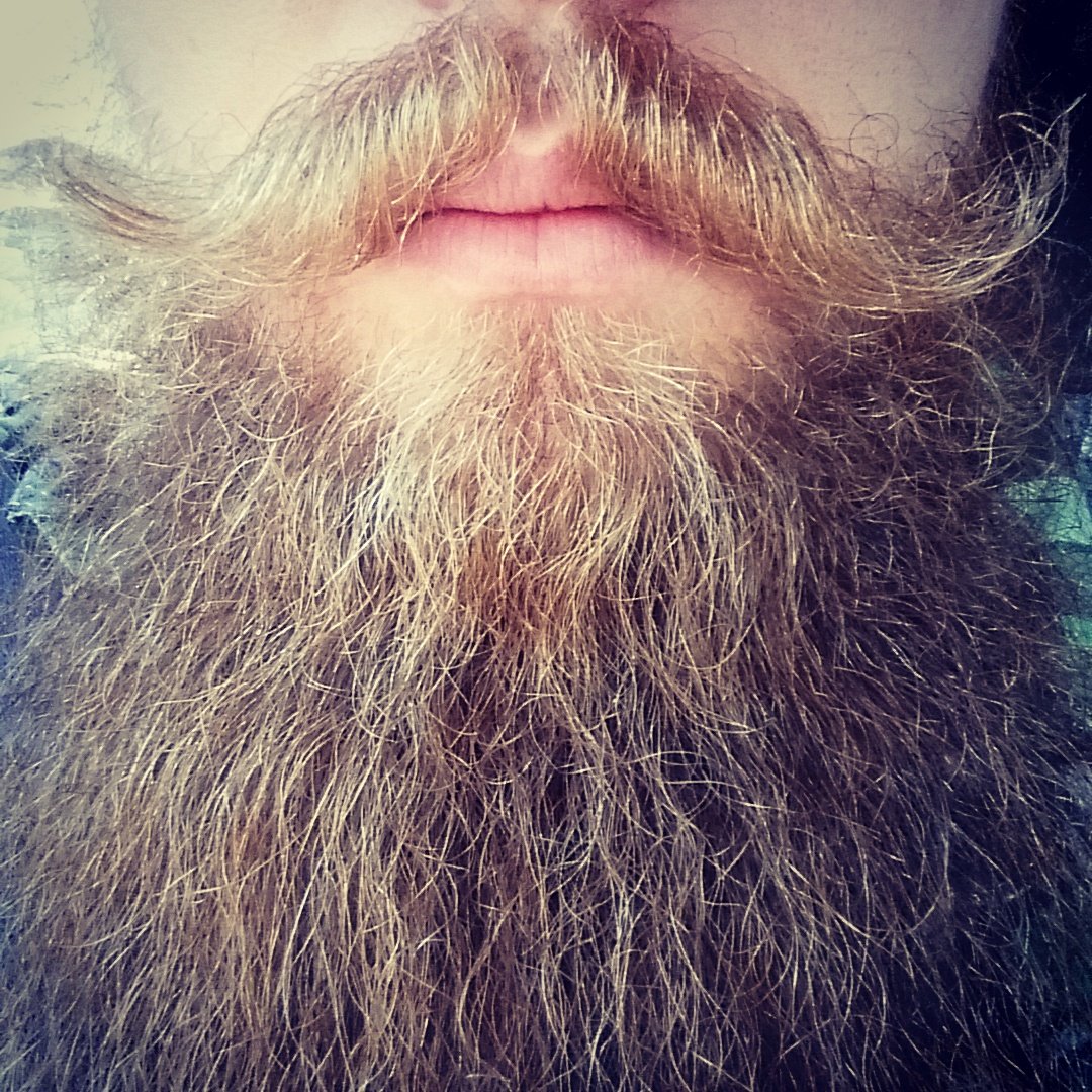 BeardAddiction's tweet photo. Get your #beardpic featured FREE!
#BeardAddiction #BeardLife #BeardAddict https://t.co/5NGeoM2cby