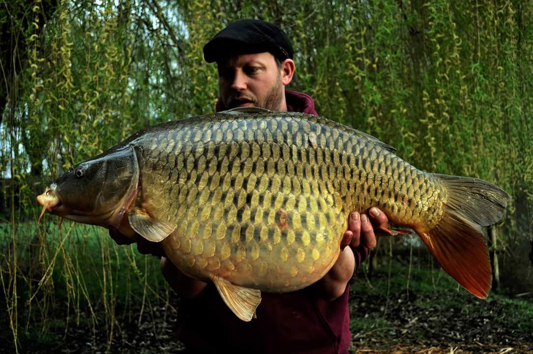 dantellin's tweet photo. Always nice to see one of these in the bottom of your net in the hours of darkness #essentialbaits #deceptionangling https://t.co/N20FNhu7bL