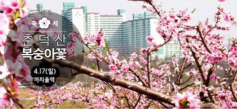 벚꽃이 조금씩 떨어져서 아쉽다구요?
걱정말아요 그대~
4.17(일) 춘덕산 복숭아꽃 축제가 있썹!!
장소: 7호선 까치울역 2번 출구에서 도보 15분
자세히 보기 flower.bucheon.go.kr