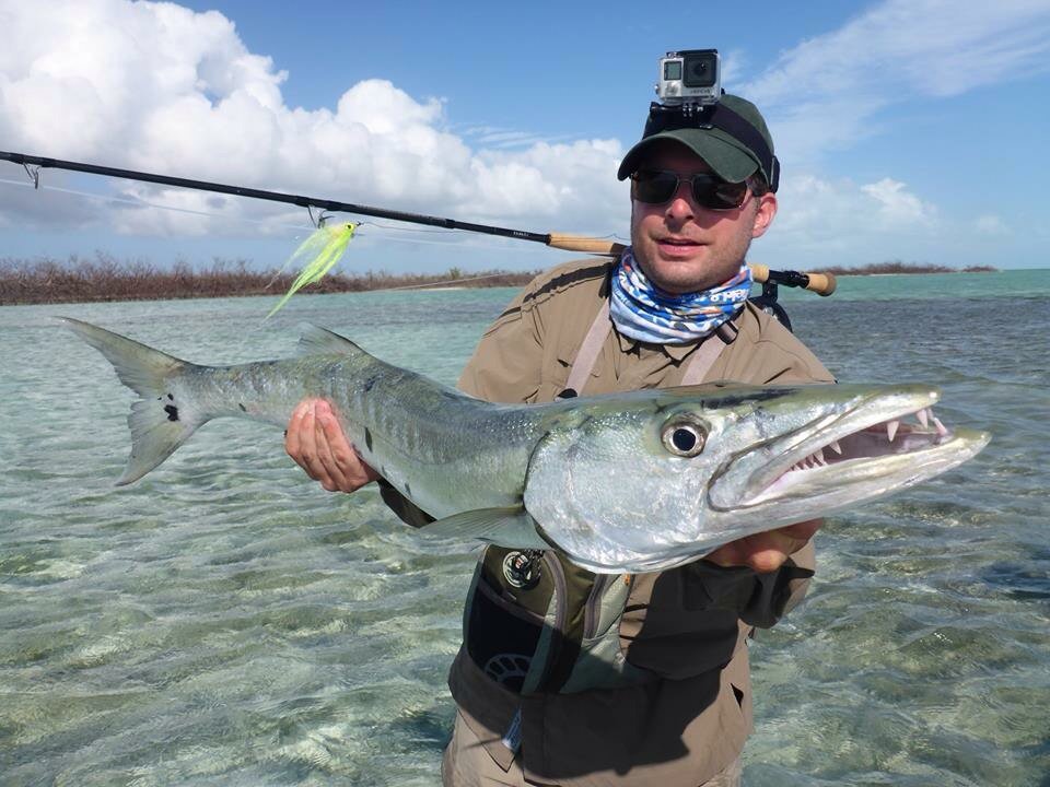 thefishinglife's tweet photo. #cuda https://t.co/1i9uKMF3Vo