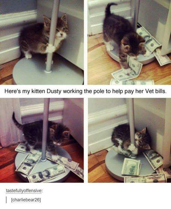 keesa03's tweet photo. Haha #makingitrain #workingthepole #gottapaythosebills #kittykitty https://t.co/91g7mrK3rs