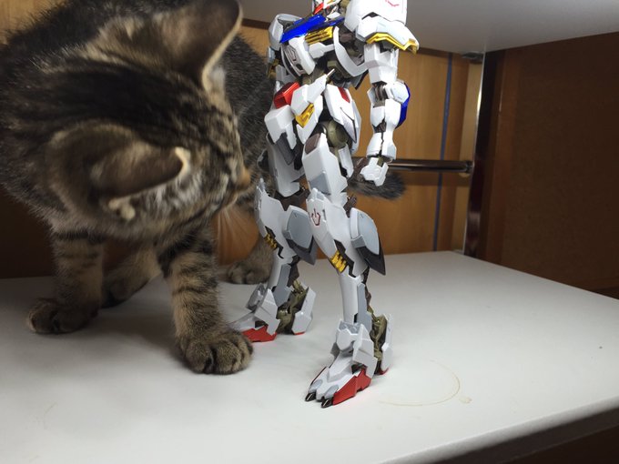 あーっ お客様 困ります ツイートで無茶する動物たちで吹いたw Matomehub まとめハブ あーっ お客様 困ります ツイートで無茶する動物たちで吹いたw Matomehub まとめハブ