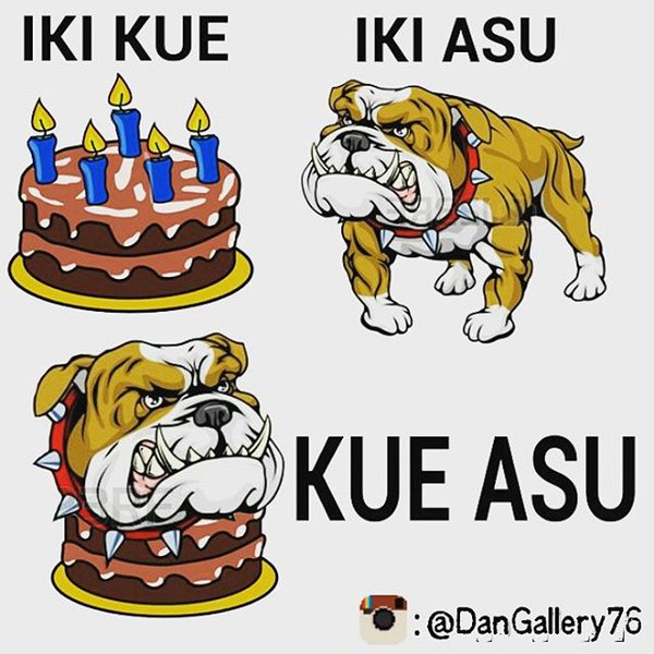 Gambar Kata Lucu Asu Kabeh