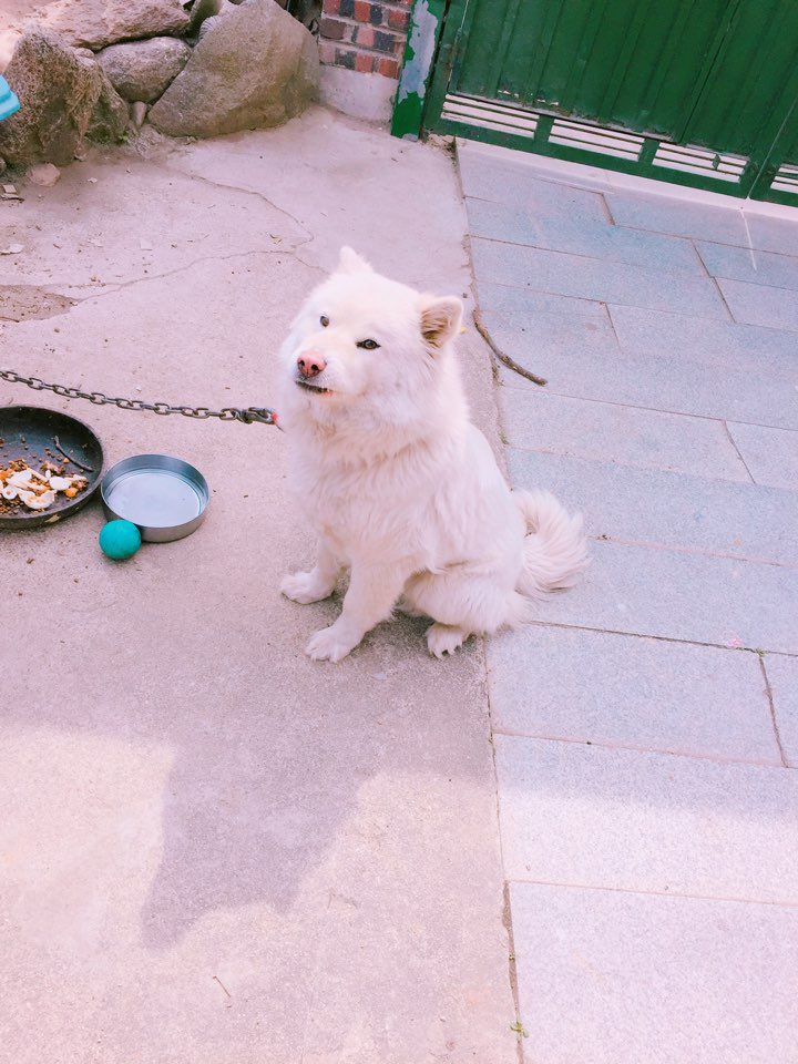 BTS_twt tweet picture