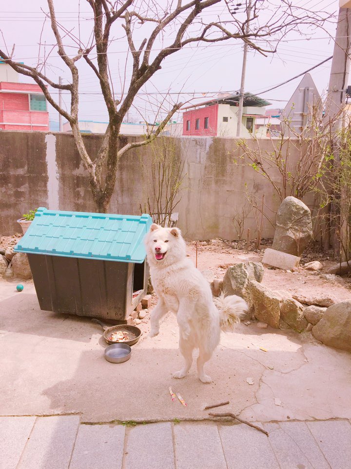 BTS_twt tweet picture