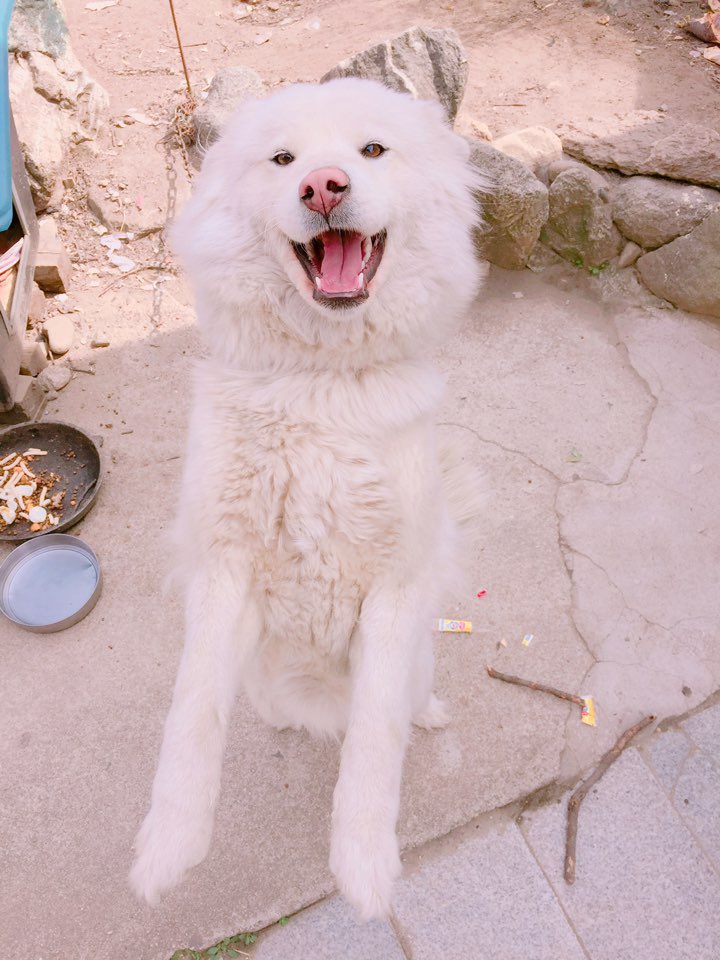 BTS_twt tweet picture