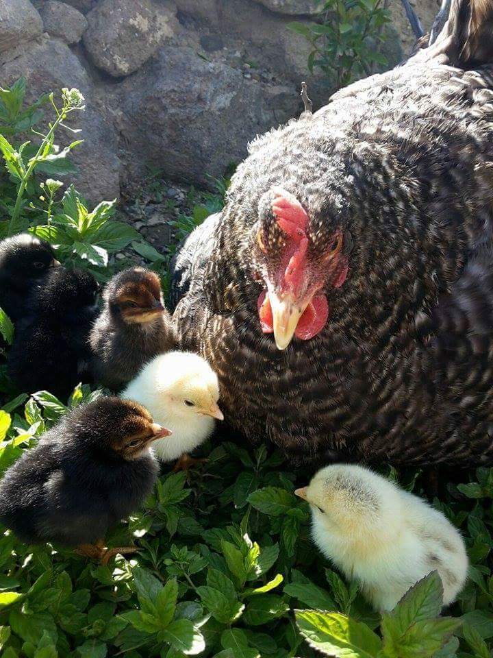 Günaydın 
Sabahınız hayrolsun,günümüz bereketli sevgi kokan tebessüm yüklü huzur ve sağlıklı gün dilerim hepimize