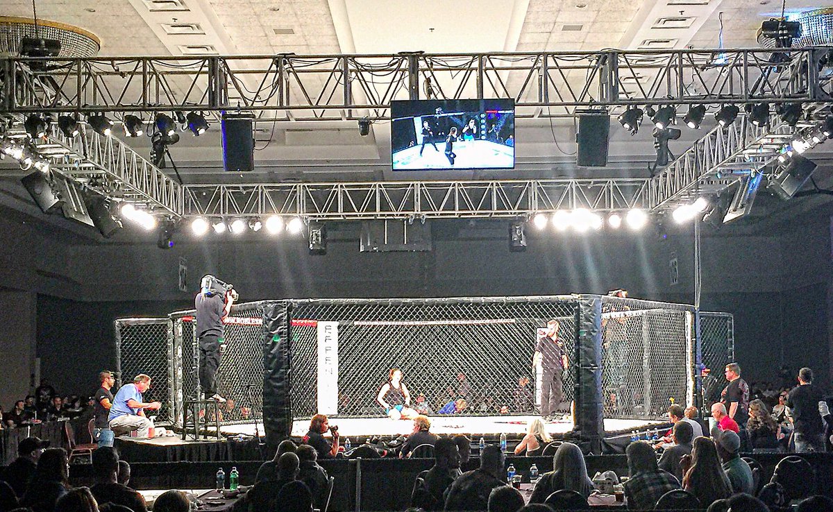 Action Potential PT tweet media