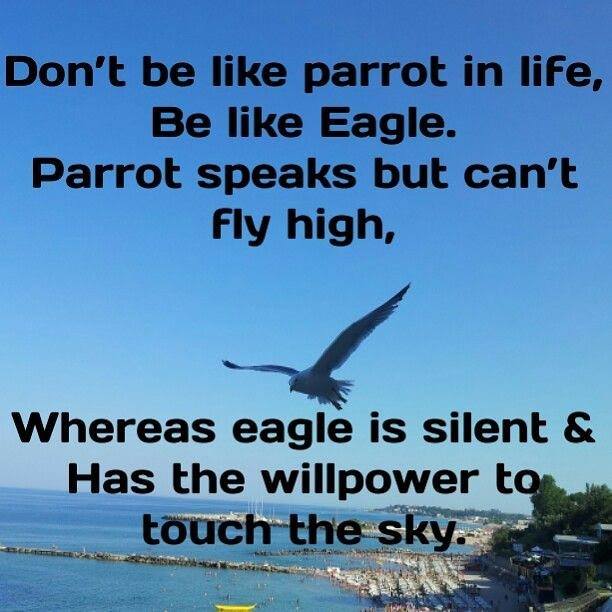 exambook1's tweet photo. #Fly_Higher .. (y) (y) https://t.co/dVSYp4m9r7