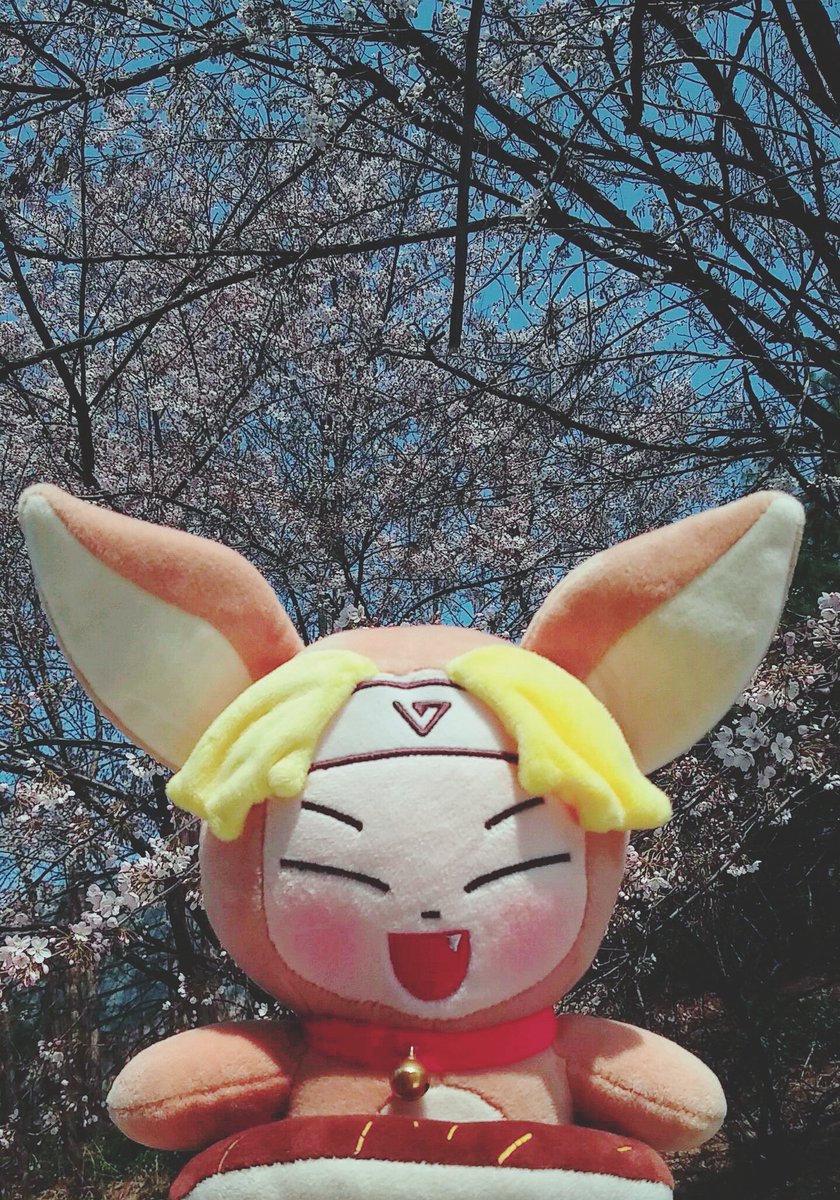 _19960615's tweet photo. 폭순이 ! ! ! 올옵전 데리고 갔다가 집에 오는 길에 벚꽃이 피었길ㄹ래앵ㅇ흐이이이잉 https://t.co/60r1GDz5f3