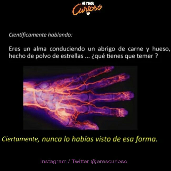 EresCurioso's tweet photo. #Curiosidades https://t.co/GusH8QbwnL