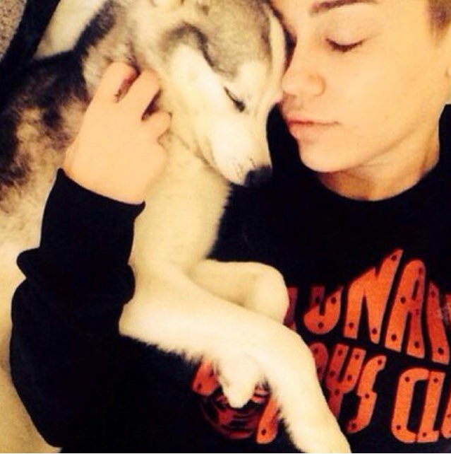 MileyRaySlays's tweet photo. Miley's post about Floyd is heartbreaking but so sweet💔💖 #happyfloydiversary https://t.co/ZaQ4i3CuAA