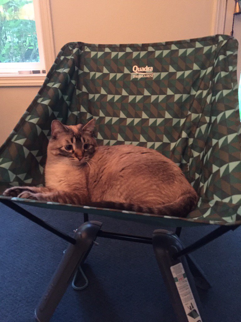 lintons's tweet photo. @Thermarest our new quadra chair gets frodo's vote of approval. We look forward to using them on Bowron Lake trip https://t.co/Tu06tLAeF1
