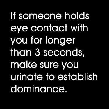establish dominance.
#Laugh #smile #eyecontact #ThreeSecondRule #BeAnAlpha #Keeplifelight