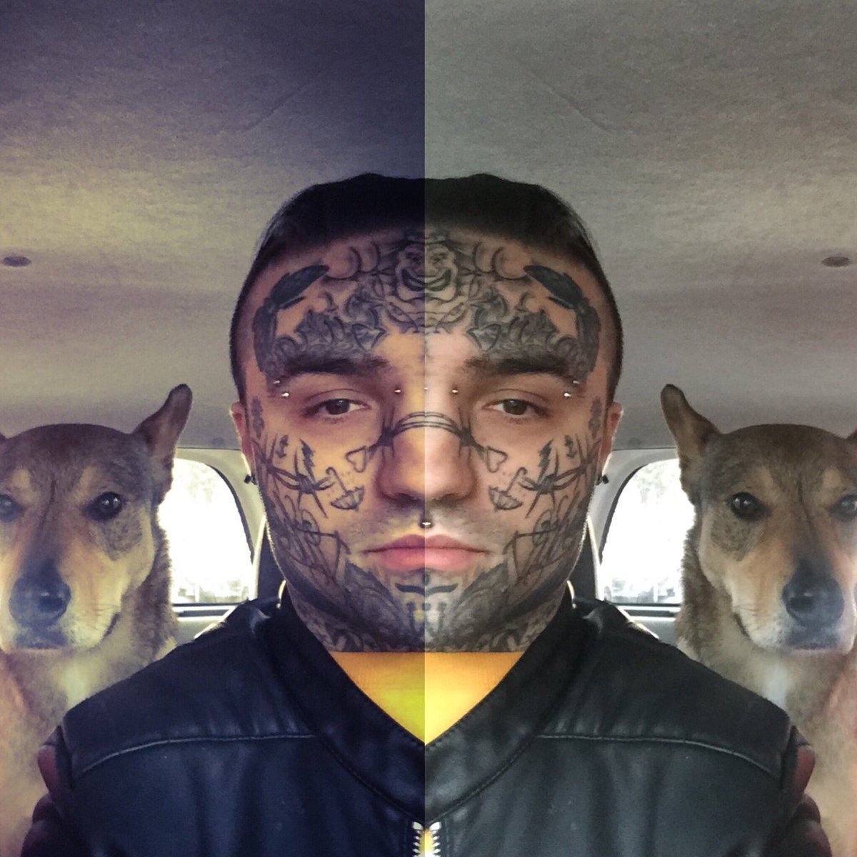 MatteoSala's tweet photo. My bodyguard is very serious!! 😎 #tbt #dog #usa #matteosala #twitter #love #tattoo https://t.co/rTgzBRO1Rq