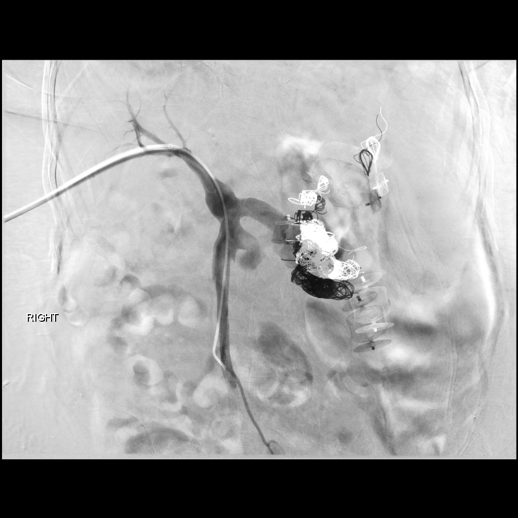 Albany IR tweet media