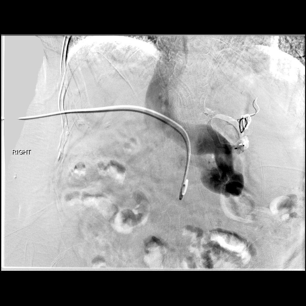 Albany IR tweet media