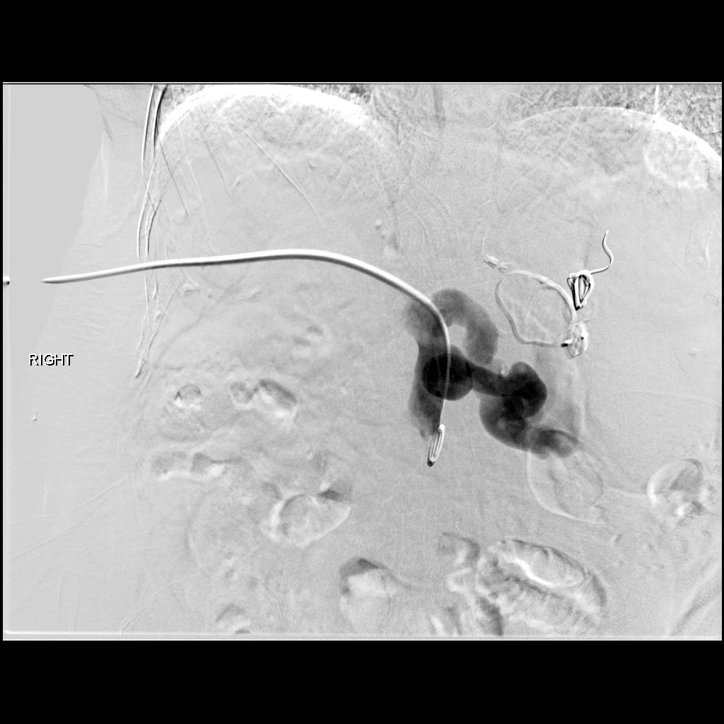 Albany IR tweet media