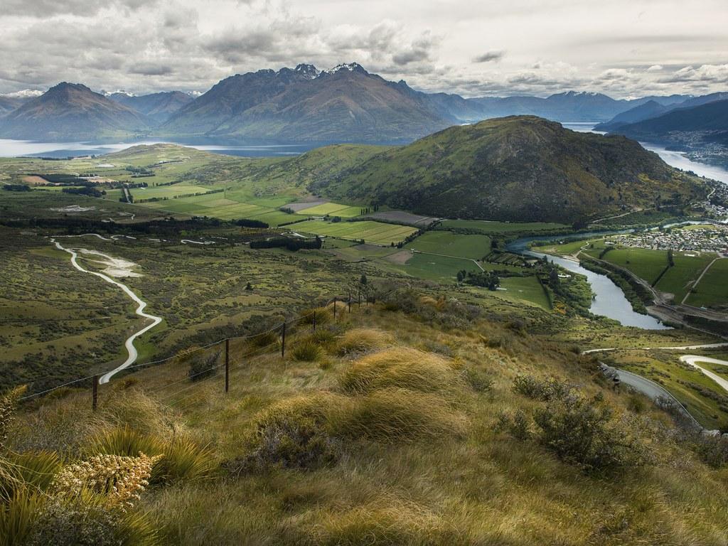 MeshTrip tweet media
